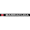 Barracuda